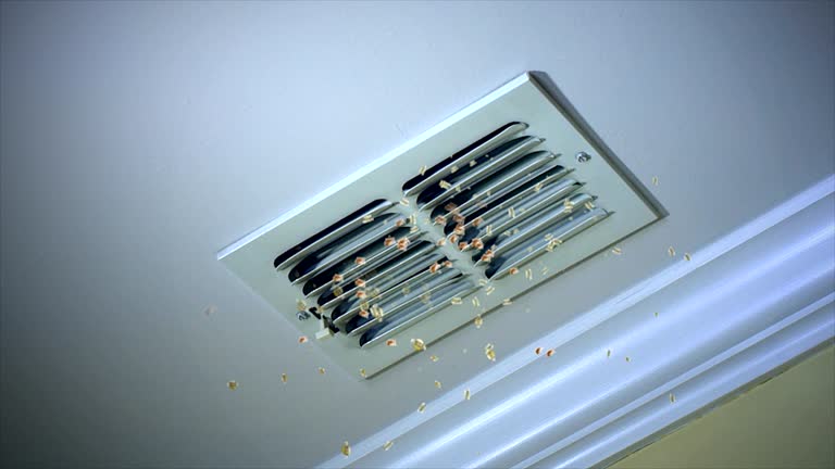 Best Best Air Duct Cleaning Company  in Freer, TX