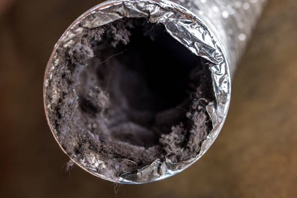 Affordable HVAC Duct Cleaning in Freer, TX