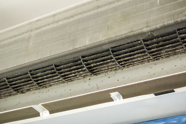Best HVAC System Cleaning  in Freer, TX